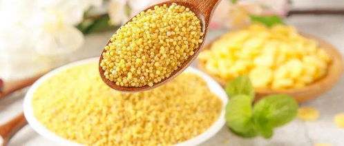 吃小米的人注意了 信息系統集成服務正悄然改變你的生活